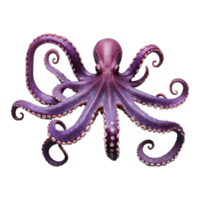 ai gegenereerd Octopus voelhoorn geïsoleerd Aan transparant achtergrond png