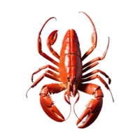 AI generated Cooked Lobster isolated on transparent background png