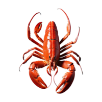 ai généré cuit Homard isolé sur transparent Contexte png