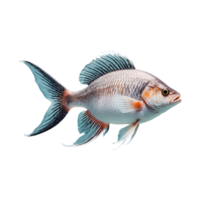 AI generated Fish isolated on transparent background png