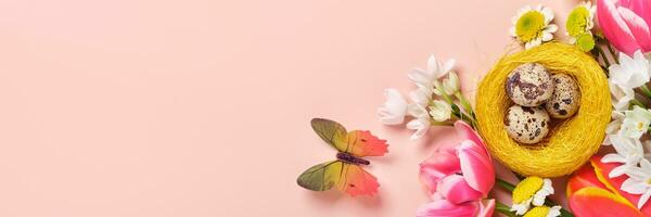 Spring flowers, quail eggs in nest and butterflies on pink background. Easter greeting banner photo
