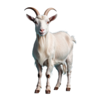 AI generated Goat isolated on transparent background png