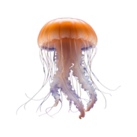 AI generated Jellyfish isolated on transparent background png