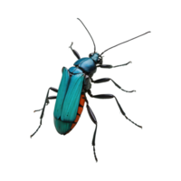 AI generated Insect isolated on transparent background png