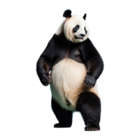 ai generado panda aislado en transparente antecedentes png