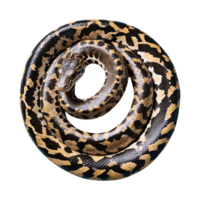 AI generated Python isolated on transparent background png