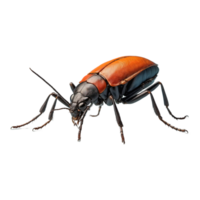 ai généré insecte isolé sur transparent Contexte png