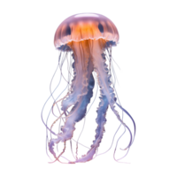 AI generated Jellyfish isolated on transparent background png