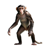 AI generated Monkey isolated on transparent background png