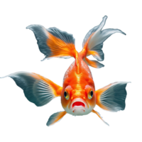 AI generated Goldfish isolated on transparent background png