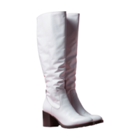 AI generated Lady Boot isolated on transparent background png