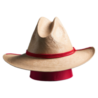 ai generado chino sombrero aislado en transparente antecedentes png