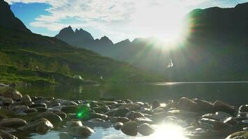 Touristen sind ruhen in der Nähe von das Zelt. das Zelt ist gelegen auf das Ufer von ein schön Berg See. Möwen fliegen Über das Wasser. das schön Natur von Norwegen. Lofoten Inseln. video