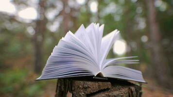 Open book in the forest. The concept of learning, reading, and knowledge. Close-up. Blurred background. 4k video