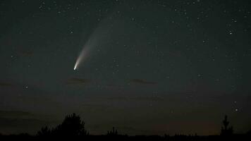komet neowise rör sig tvärs över de natt himmel bland de stjärnor. Timelapse zoom ut 4k video