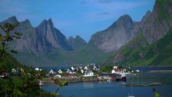 pescar pueblo de reine en lofoten islas en Noruega, popular turista destino en soleado verano día. 4k video