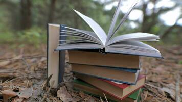 Stacked books in the forest. The concept of learning, reading, and knowledge. Close-up. Blurred background. 4k video