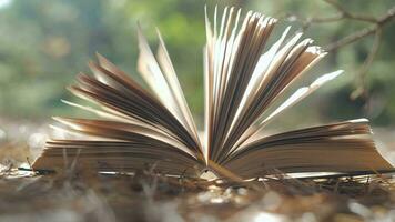 Open book in the forest. The concept of learning, reading, and knowledge. Close-up. Blurred background. 4k video