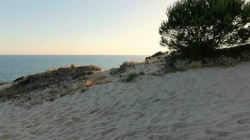 arenosillo praia, localizado dentro huelva, Espanha. explorar a sereno beleza do isto costeiro paraíso com Está iluminado pelo sol arenoso margens e a rítmico vazante e fluxo do a atlântico oceano. video