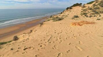 arenosillo praia, localizado dentro huelva, Espanha. explorar a sereno beleza do isto costeiro paraíso com Está iluminado pelo sol arenoso margens e a rítmico vazante e fluxo do a atlântico oceano. video