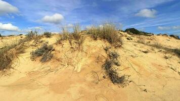 dunes dans le arénosillo plage, situé dans huelva, Espagne. explorer le serein beauté de cette côtier paradis avec ses ensoleillé sablonneux rivages et le rythmique reflux et couler de le atlantique océan. video