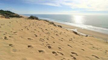 arenosillo spiaggia, collocato nel huelva, Spagna. Esplorare il sereno bellezza di Questo costiero Paradiso con suo illuminata dal sole sabbioso sponde e il ritmico riflusso e flusso di il atlantico oceano. video