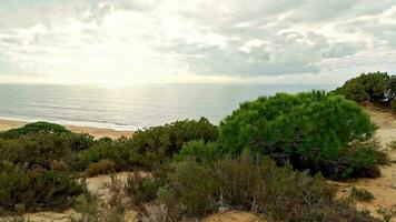 nuageux journée sur le magnifique arénosillo plage, Mazagon, huelva, Espagne. video