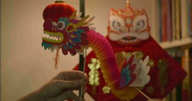 Young Woman Playing With Chinese Dragon video