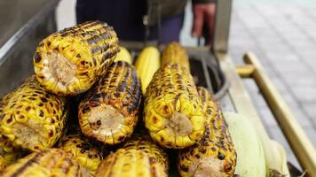 Grilled Corn for sale in a market stall in istanbul video