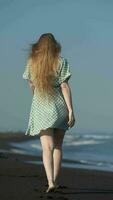 plein longueur arrière vue de femme en marchant sur plage de noir le sable sur été journée. vertical, lent mouvement video