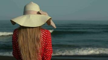 achterzijde visie van onherkenbaar vrouw in rood jurk staand Aan strand, ontspanning Aan achtergrond van oceaan video