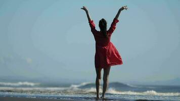 Rear view woman standing ankle deep in water breaking wave on beach. Full length model arms raised video