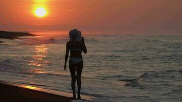 traseiro Visão do irreconhecível mulher dentro bikini caminhando em de praia tornozelo profundo dentro quebra ondas às nascer do sol video