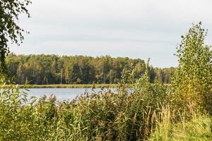 Landscape shot of the pond. Outdoors photo