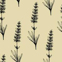 Simple hand-drawn vector seamless pattern. Branches of field lavender flowers in black outline on a gray-beige background. For prints of clothing fabrics, bedding, packaging, wallpaper.