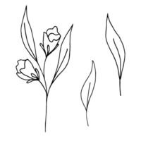 Hand-drawn black outline vector drawing. Set of spring abstract flowers, leaves on a white background. Elements of nature, garden for the design of postcards, patterns.