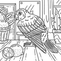 Conure Bird Coloring Page for Kids vector