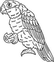 Cacique Bird Isolated Coloring Page for Kids vector