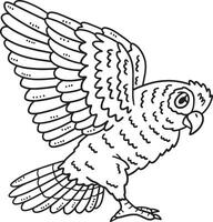 Amazon Parrot Bird Isolated Coloring Page for Kids vector