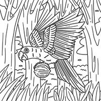 jacinto guacamayo pájaro colorante página para niños vector