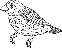 Red Billed Quelea Bird Isolated Coloring Page vector