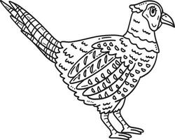 Common Pheasant Bird Isolated Coloring Page vector