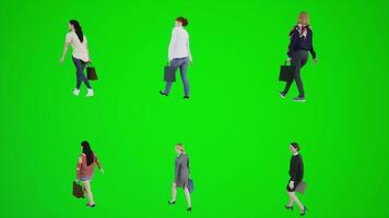 Six women walking in the amusement park and shopping with shopping bags from video