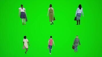 sechs Frauen Gehen auf das Bürgersteig und Einkaufen mit Einkaufen Taschen von das zurück video