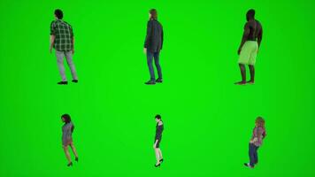 3d mensen groen scherm zes mannen en vrouw staand in park van Chroma sleutel voorkant video