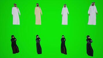 Arab 3D animation of Arab men and women standing on a green screen. Chromakey video
