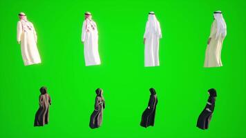 arabo 3d animazione di arabo uomini e donne in piedi su un' verde schermo. chromaki video