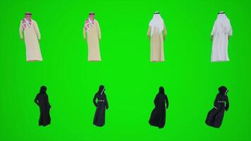 árabe 3d animação do árabe homens e mulheres em pé em uma verde tela. chromakey video