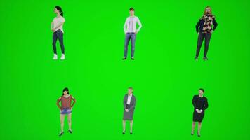 3d animazione di sei donne in piedi su un' verde schermo e in attesa nel il strada video