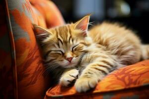 AI generated Cat nap Cute feline relaxes on the sofa, embodying lazy comfort photo